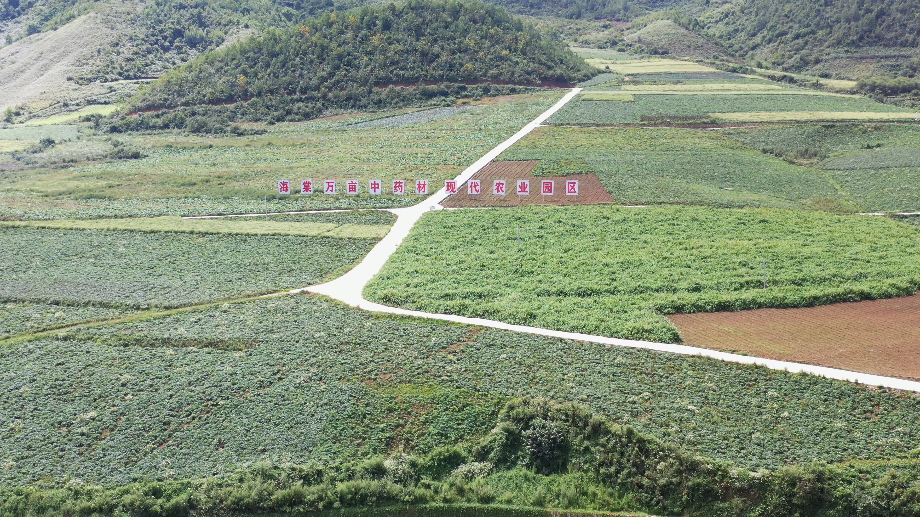 文章配图-1